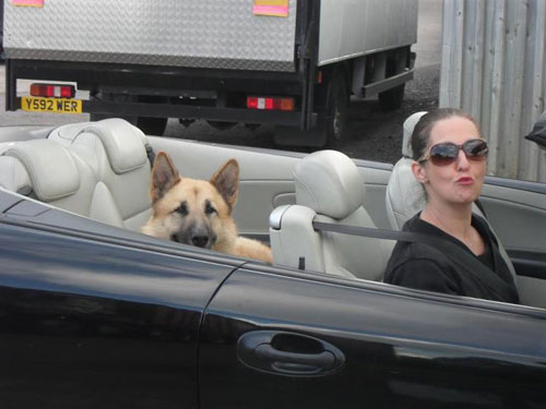 gsd in a soft top car