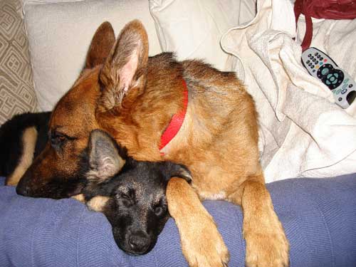 Molly and Jackson asleep