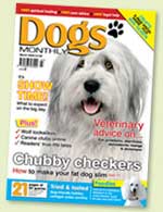 dogs monthly magazine