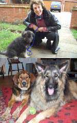 edwina currie with her german shepherd
