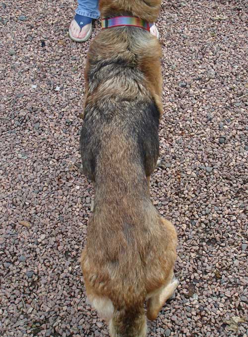 erca's thin back
