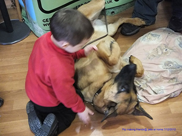 kids meeting german shepherds