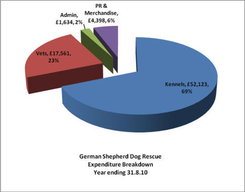 gsdr accounts for 2010