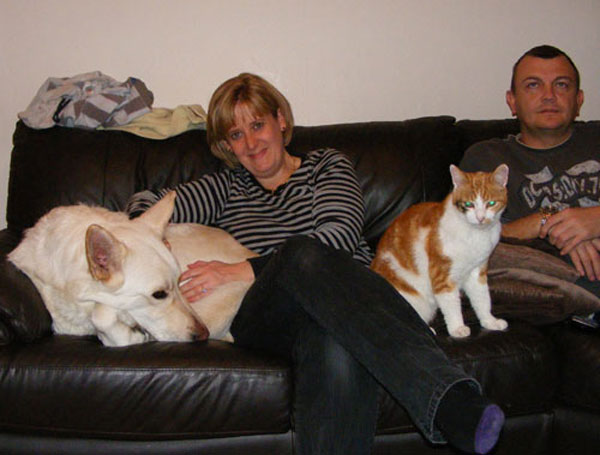 ice the white gsd with his family