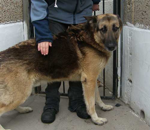 jake with a volunteer