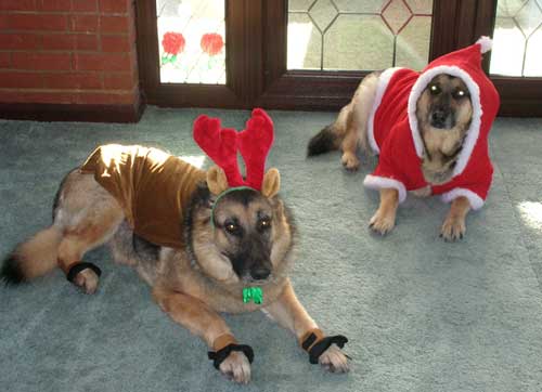 jess and tara in christmas dress