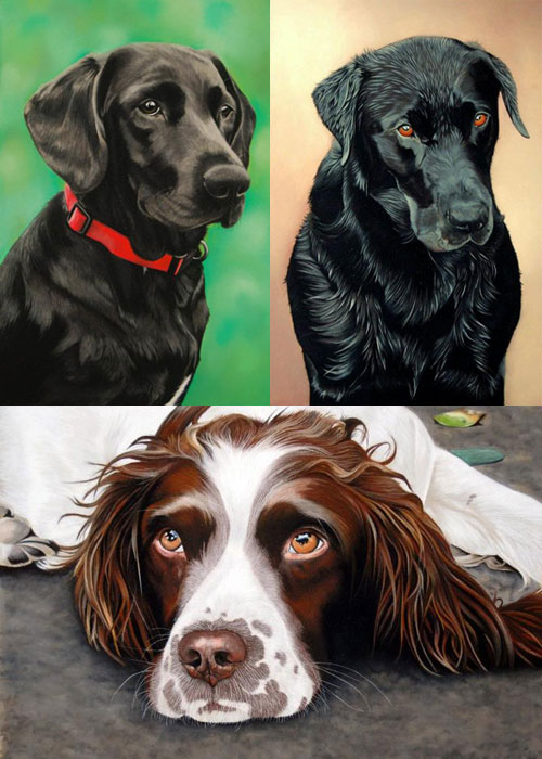 hand drawn dog portraits