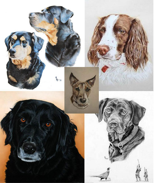 pet portraits