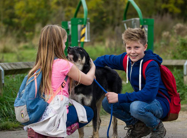 children interacting with pets