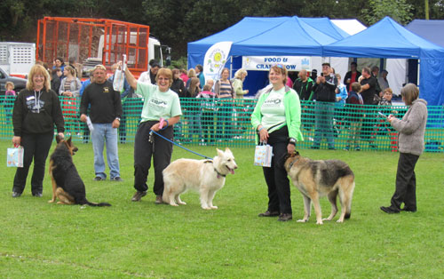 meet the winners of the dog show