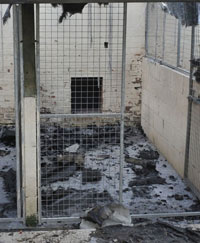 Manchester Dogs Home Fire