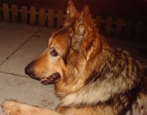 mica relaxing
