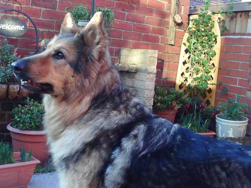 mica posing for a picture