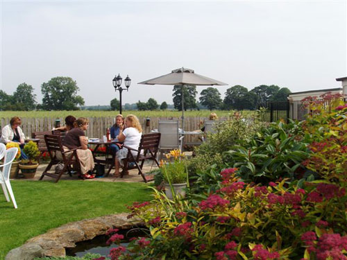 more guests enjoying the afternoon tea and cakes