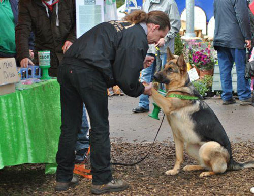 karla and her owner Mark a gsdr volunteer