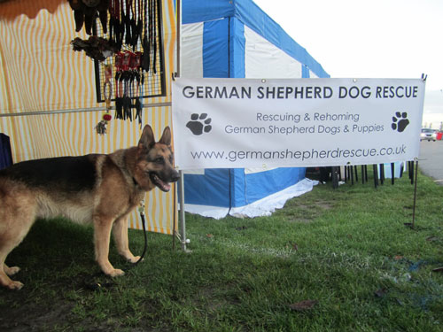 gsd on the gsdr stand