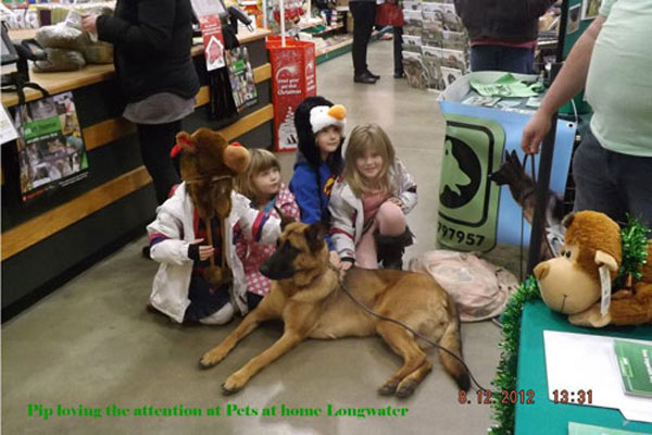 children enjoying meeting the german shepherds at Pets at Home