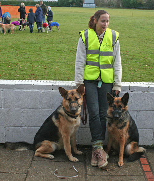 Two very well behaved German Shepherds