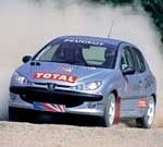 rally driving experience