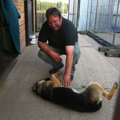 gsdr volunteer and abandoned dog