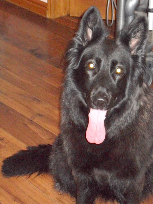 ruby black gsd