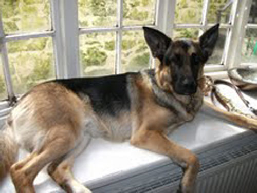 sabre gsd