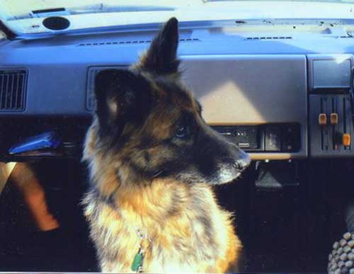 sally sitting in a car