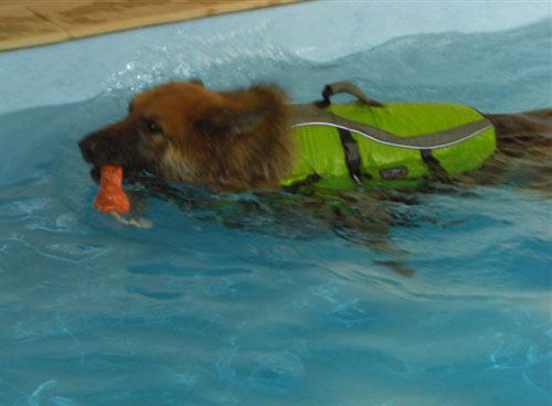 sam having hydrotherapy