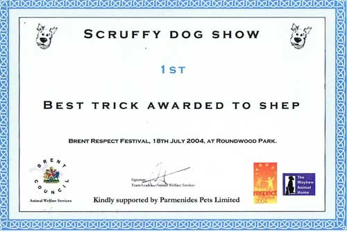certificate for 1st prize
