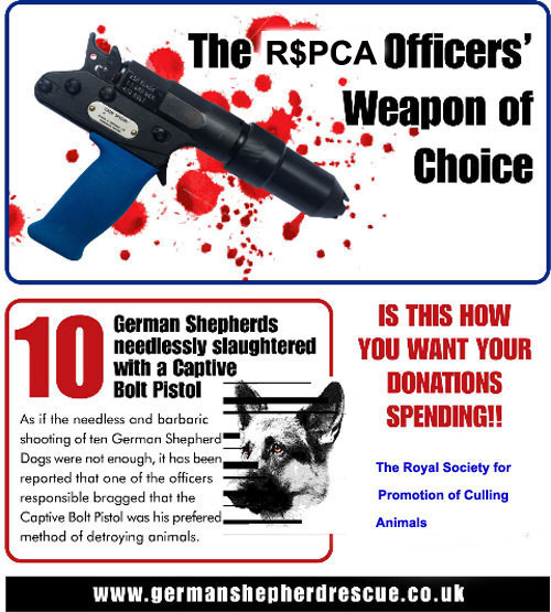 rspca poster