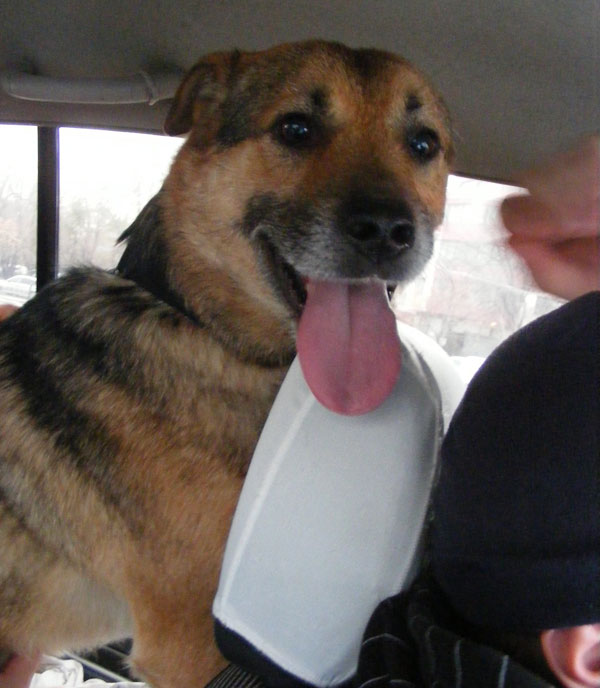 smiley in the car on his way to the UK