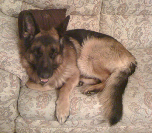 max gsd