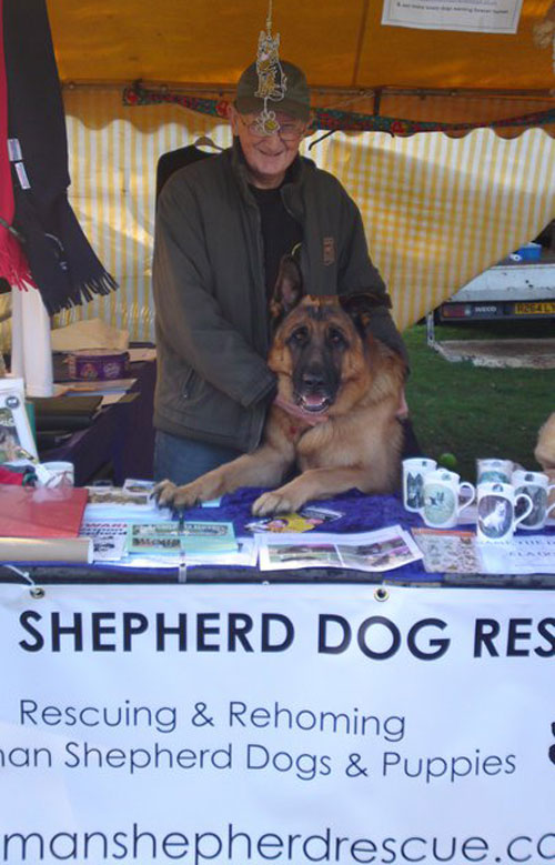 man and his gsd on the merchandise stand