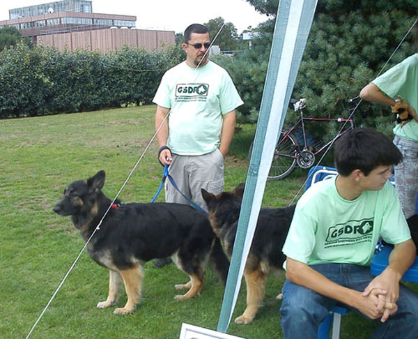 damon standing with 2 german shepherds