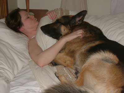 talen the gsd sleeping in bed