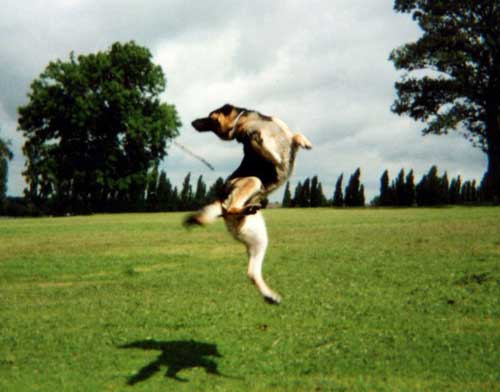 tara playing football