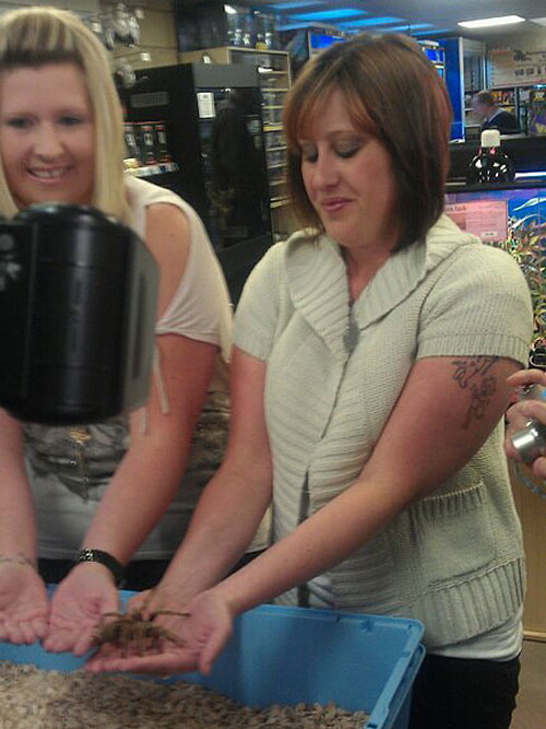 kirsty and lisa holding a tarantula spider to raise funds for GSDR