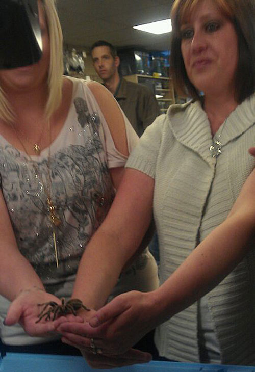 kirsty still holding that big hairy spider