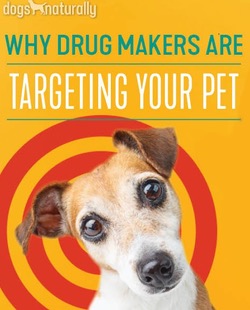 Why Big Pharma Are Targeting Your Pet