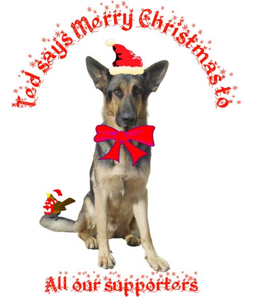 ted the gsd says merry xmas