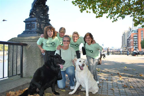 team gsdr by the Thames with Berry and Porridge