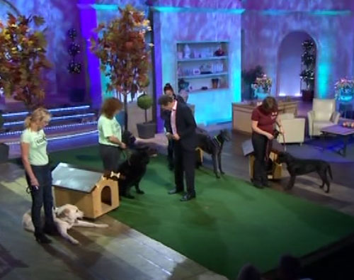 gsdr featuring on the alan titchmarsh show