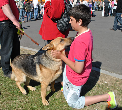 olly making friends