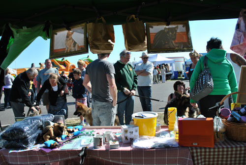 lovely weather for fundraising for gsdr