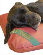 tuffie dog bed