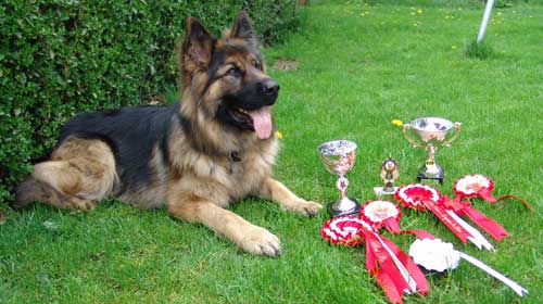 zac with his prizes