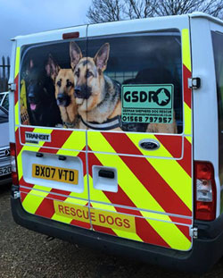 the new ne gsdr van thanks to support adoption for pets