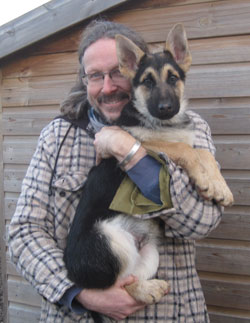 beautiful rescue german shepherd puppy called lad