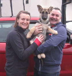 monty rescue german shepherd puppy