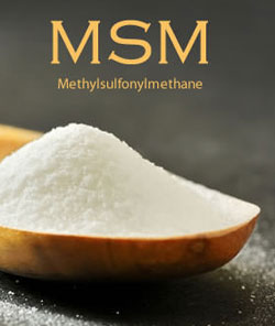 MSM - Methylsulfonylmethane